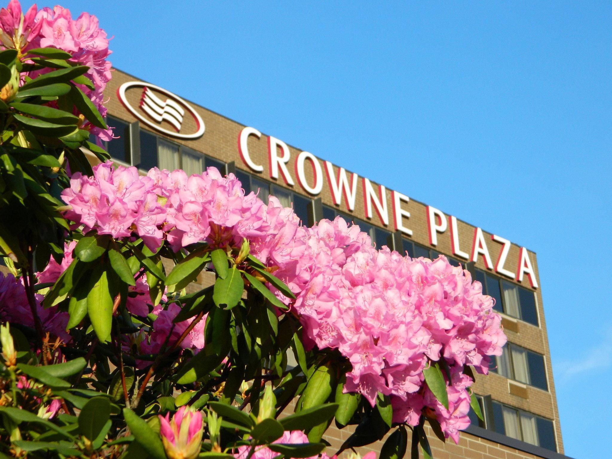 Crowne Plaza Danbury, An Ihg Hotel Buitenkant foto